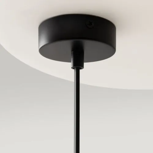 Подвесной светильник Maytoni MOD013PL-06B фото 10
