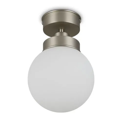 Потолочный светильник Freya FR5339CL-01N