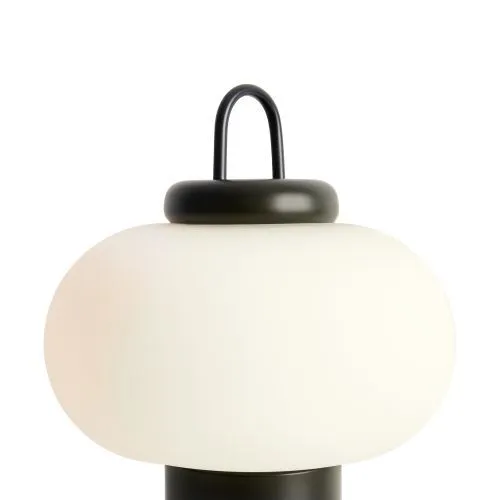 Настольный светильник Freya FR6175TL-L10B фото 6
