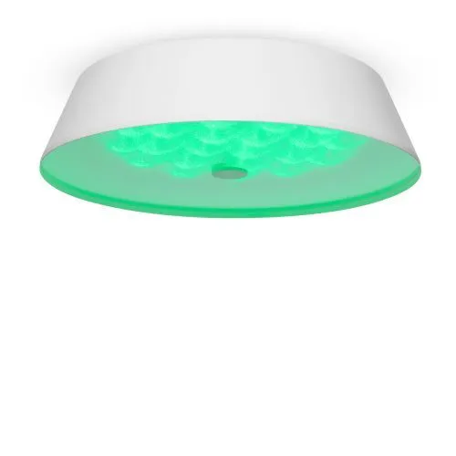 Потолочный светильник Freya FR10013CL-L24W фото 8