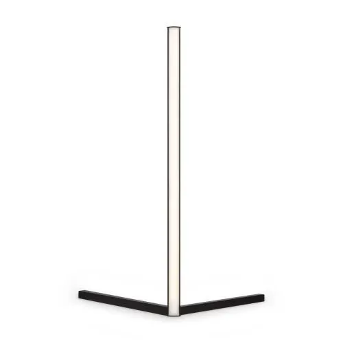 Настольный светильник Freya FR6062TL-L10B фото 3