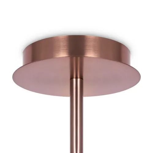 Подвесной светильник Maytoni MOD221PL-10G фото 5