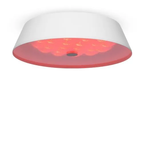 Потолочный светильник Freya FR10013CL-L24W фото 6