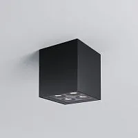 Уличный потолочный светильник Outdoor O309CL-L8GF3K					