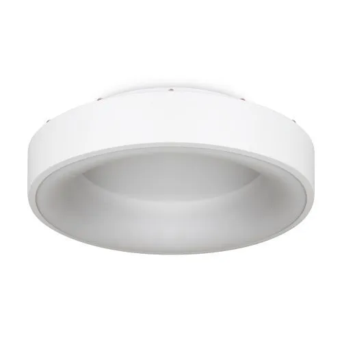 Потолочный светильник Freya FR6118CL-L45W фото 2