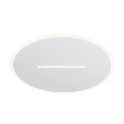 Потолочный светильник Freya FR6105CL-L73W фото 3