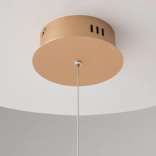 Подвесной светильник Maytoni MOD017PL-L13G фото 11