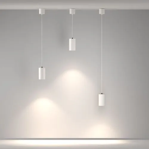 Подвесной светильник Maytoni P100PL-20W4K-W фото 11