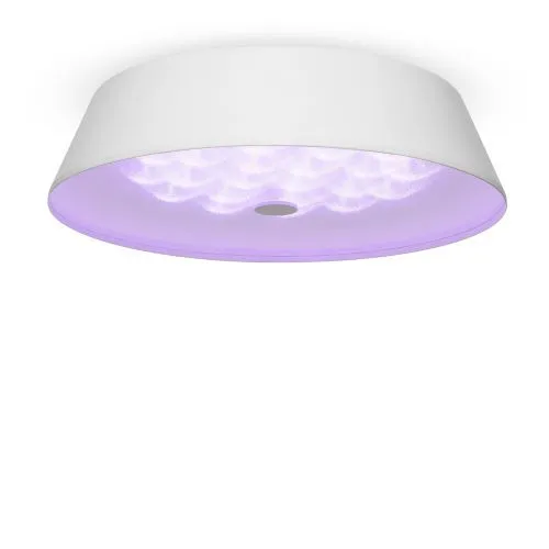 Потолочный светильник Freya FR10013CL-L24W фото 4