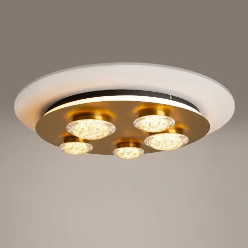 Потолочный светильник Maytoni MOD361CL-L58BS3K фото 7