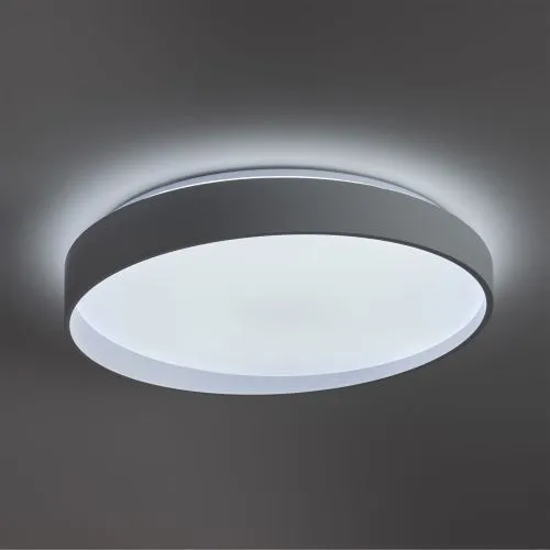 Потолочный светильник Freya FR6222CL-L84W фото 6