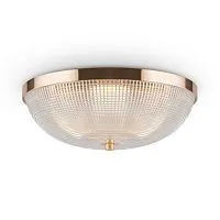 Потолочный светильник Maytoni C046CL-03G