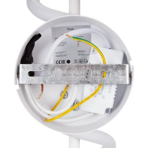 Настенный светильник (бра) Freya FR6097WL-L12W фото 13