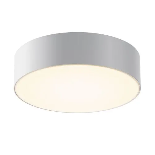 Уличный потолочный светильник Outdoor O431CL-L30W3K
