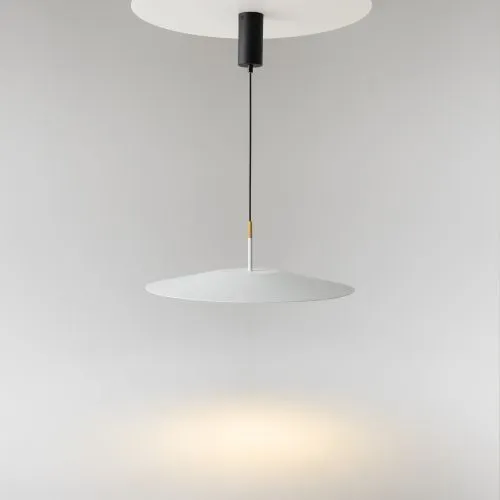 Подвесной светильник Maytoni MOD041PL-L15W3K1 фото 13
