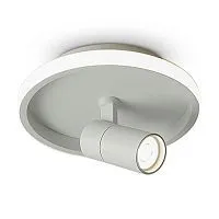 Потолочный светильник Freya FR6040CL-L14W					