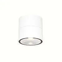Уличный потолочный светильник Outdoor O310CL-L12W3K					
