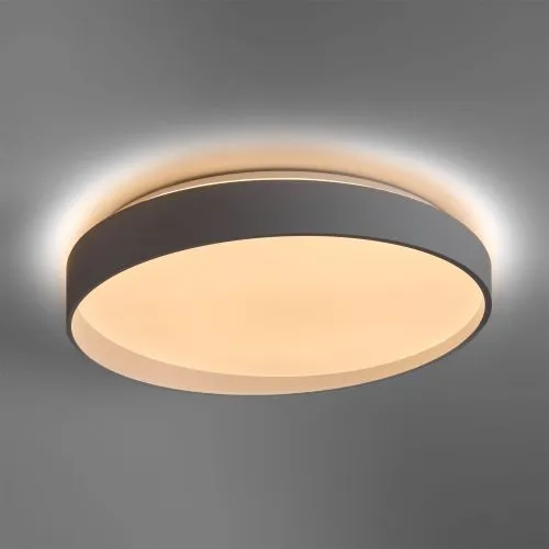 Потолочный светильник Freya FR6222CL-L84W фото 3