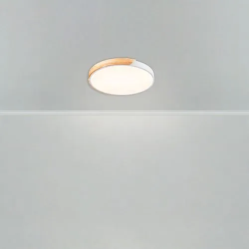 Потолочный светильник Freya FR6129CL-L80W фото 6