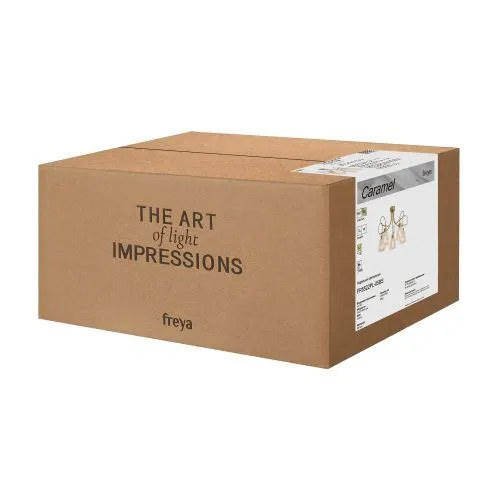 Люстра Freya FR5522PL-05BS фото 4
