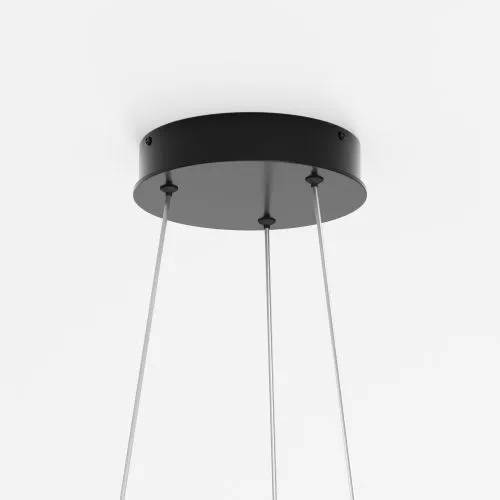 Подвесной светильник Maytoni MOD058PL-L22BK фото 3