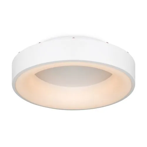 Потолочный светильник Freya FR6118CL-L45W фото 2