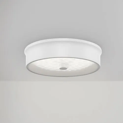 Потолочный светильник Freya FR10011CL-L24W фото 16