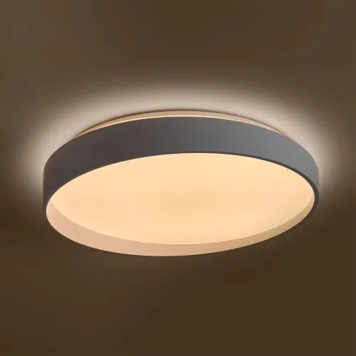 Потолочный светильник Freya FR6222CL-L84W фото 4