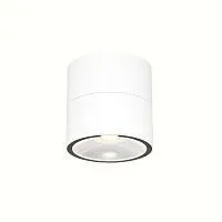 Уличный потолочный светильник Outdoor O310CL-L7W3K