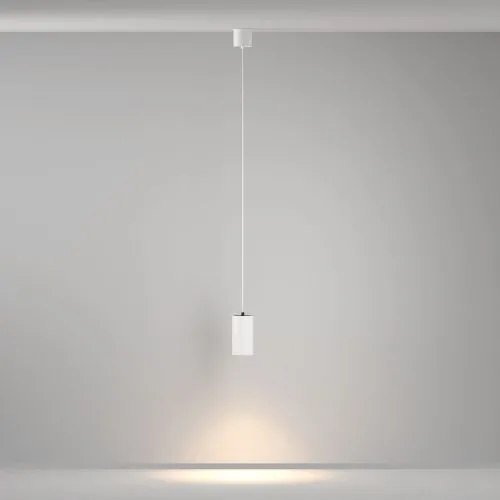 Подвесной светильник Maytoni P100PL-20W3K-W фото 11