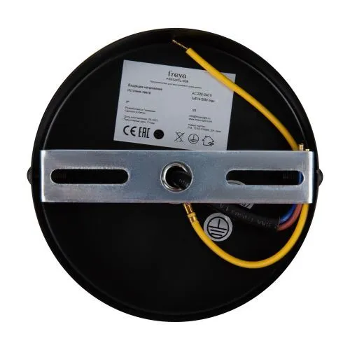 Люстра Freya FR5322CL-03B фото 8
