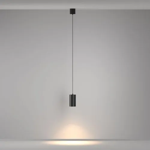 Подвесной светильник Maytoni P100PL-20W3K-B фото 7