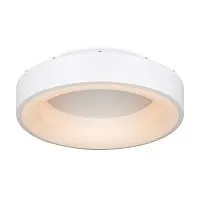 Потолочный светильник Freya FR6118CL-L45W