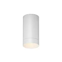 Уличный потолочный светильник Outdoor O500CL-L5W3K