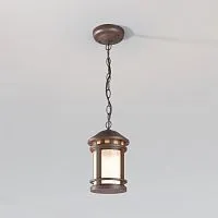 Уличный подвесной светильник Outdoor O031PL-01BR