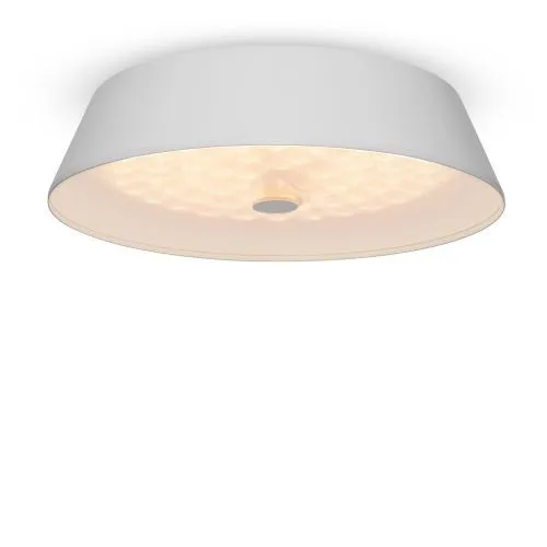 Потолочный светильник Freya FR10013CL-L24W фото 9