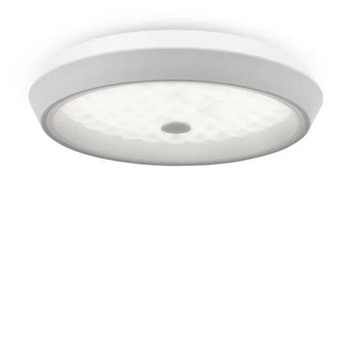 Потолочный светильник Freya FR10012CL-L24W фото 2