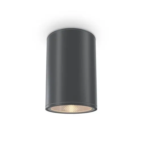 Уличный потолочный светильник Outdoor O306CL-L12GF