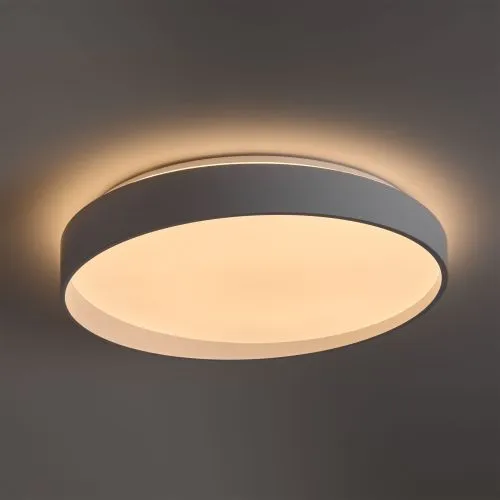 Потолочный светильник Freya FR6222CL-L84W фото 8