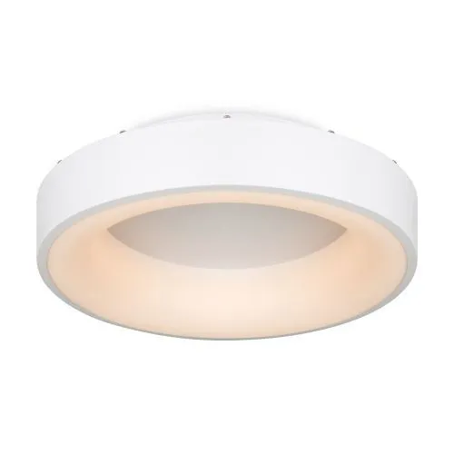 Потолочный светильник Freya FR6118CL-L45W