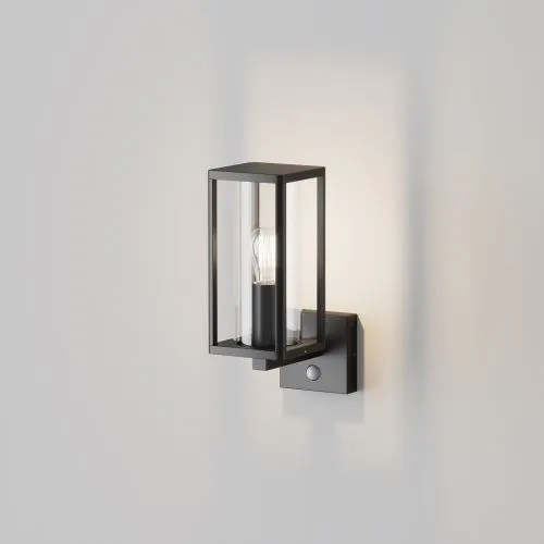 Уличный настенный светильник Outdoor O452WL-01GFSR фото 9
