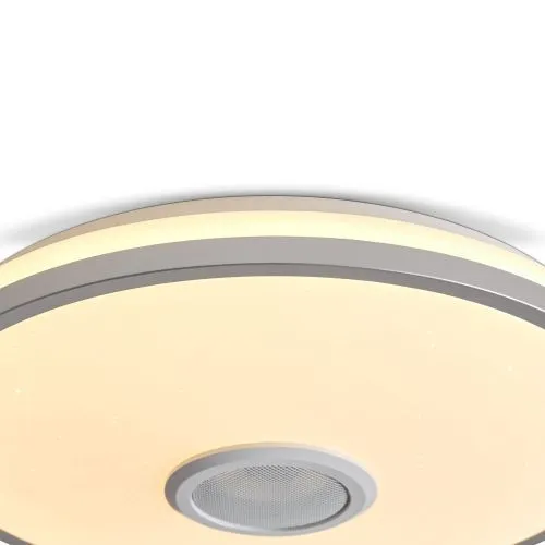 Потолочный светильник Freya FR6226CL-L36W фото 8