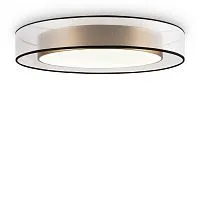 Потолочный светильник Freya FR6005CL-L48G					
