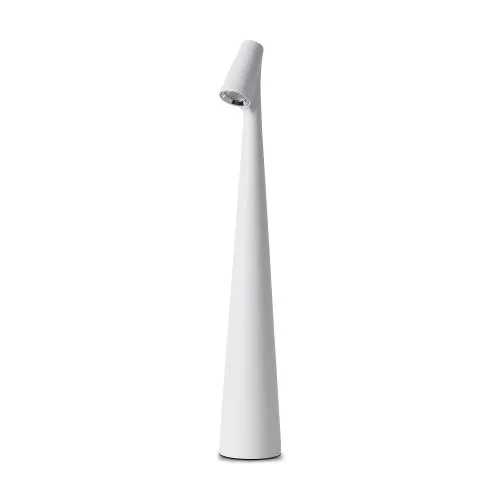 Настольный светильник Freya FR6188TL-L3W фото 2