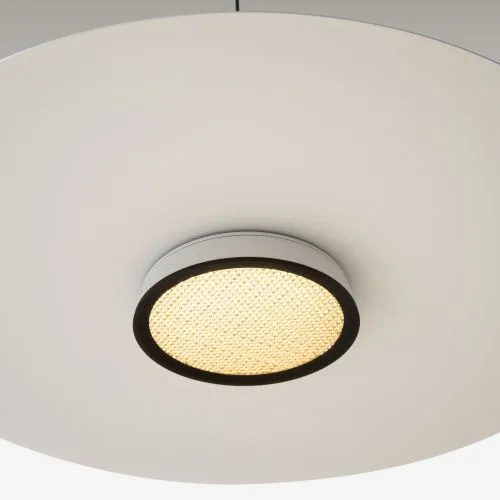Подвесной светильник Maytoni MOD041PL-L15W3K1 фото 11