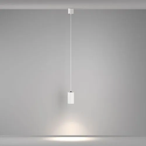 Подвесной светильник Maytoni P100PL-20W4K-W фото 10