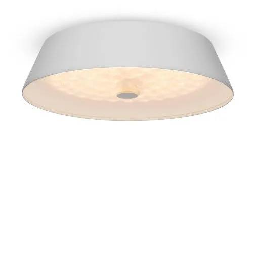 Потолочный светильник Freya FR10013CL-L24W фото 2