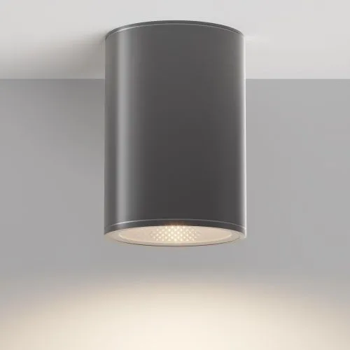Уличный потолочный светильник Outdoor O306CL-L12GF