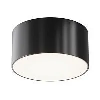Уличный потолочный светильник Outdoor O430CL-L15B4K