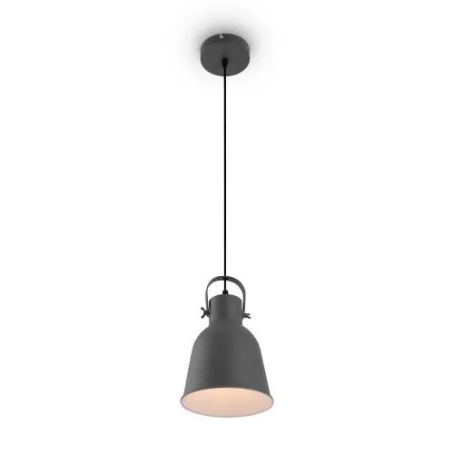 Подвесной светильник Freya FR4035PL-01GR фото 2